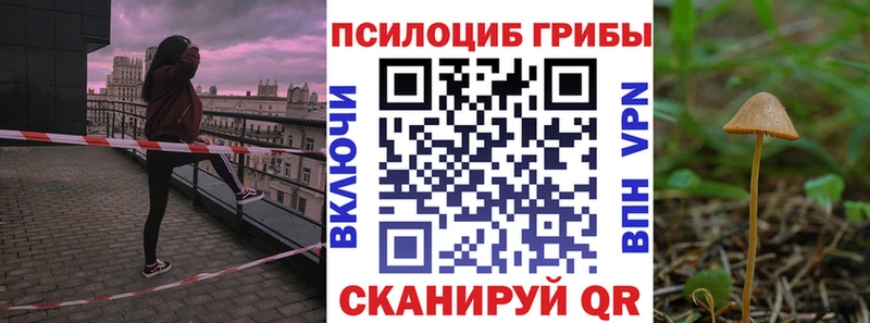 Галлюциногенные грибы GOLDEN TEACHER  Таштагол 